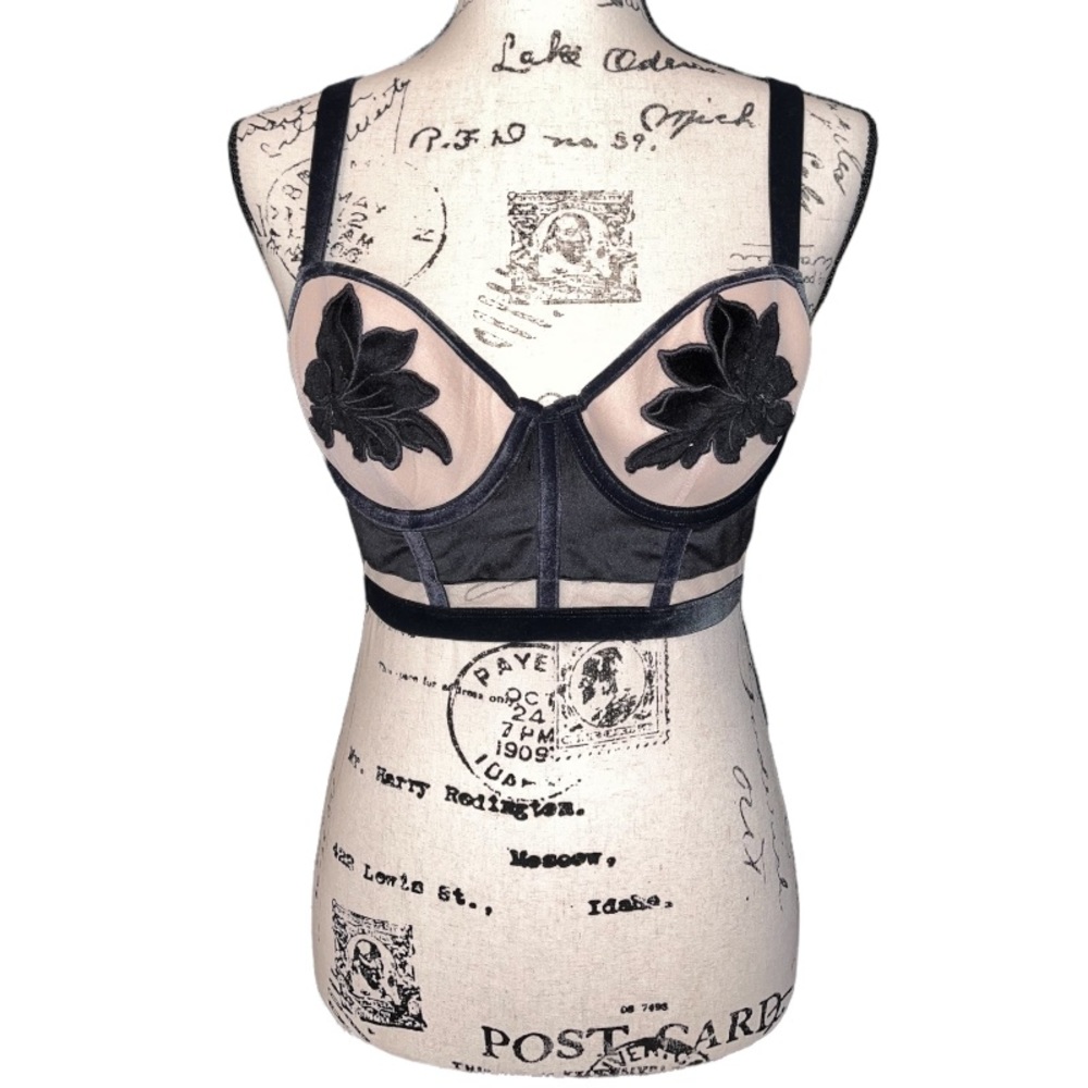 NWT VICTORIA’S SECRET Velvet Long Line Bustier Bra Size 34